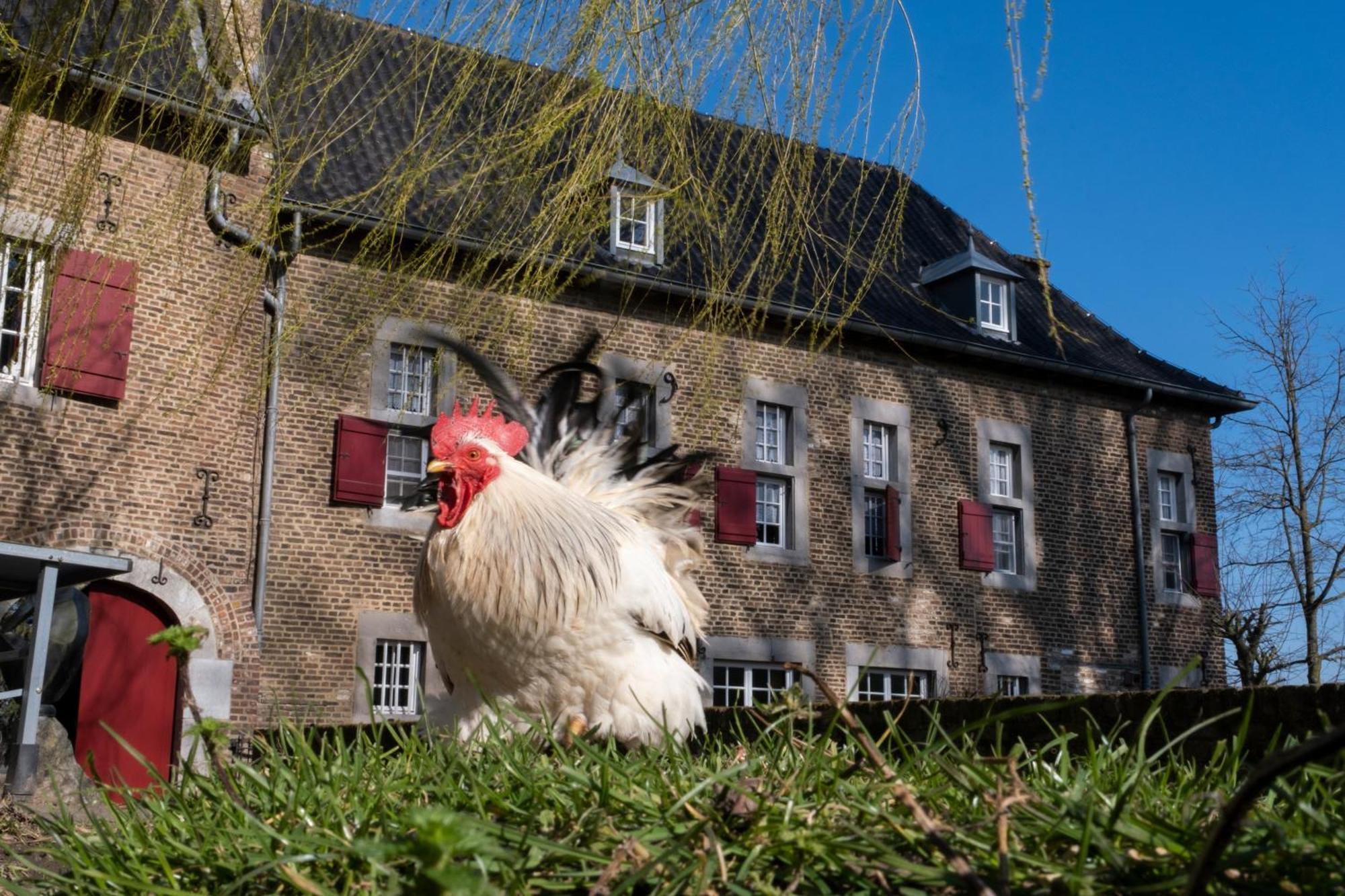 Meschermolen, Overnachten In De Schuur Eijsden Zewnętrze zdjęcie